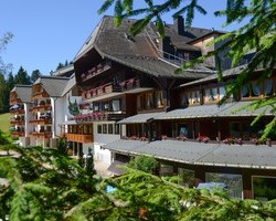 Hotel Schne Aussicht (Hornberg-Niederwasser)