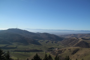 Blick über den Kaiserstuhl bis hin zu den Vogesen Blick über den Kaiserstuhl bis hin zu den Vogesen