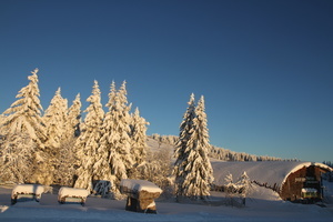 Haus der Natur im Winter