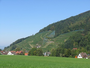 Blick ins Glottertal Blick ins Glottertal