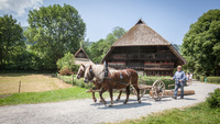 Schwarzwlder Freilichtmuseum Vogtsbauernhof