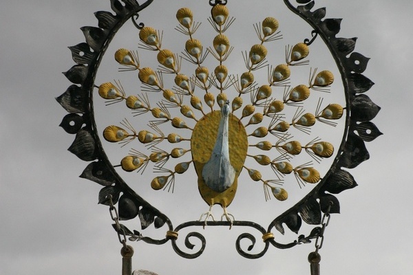 Logo Pfauen Logo Pfauen