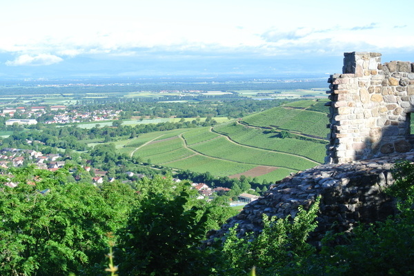 'Blick von der Burg Badenweiler über das Wellental in die Rheinebene' 'Blick von der Burg Badenweiler über das Wellental in die Rheinebene'