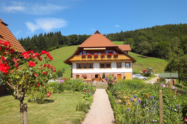 'Bauerngarten' 'Bauerngarten'