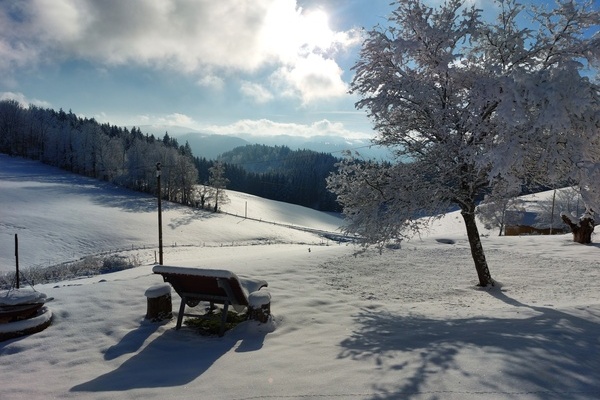 Winterpanorama