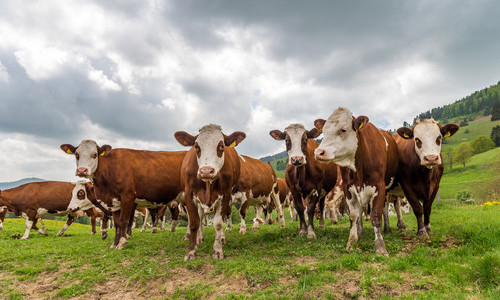 Marterer-Hof (Fröhnd) Marterer-Hof (Fröhnd)