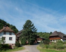 Mattenhof - Ferienwohnungen auf dem Bauernhof (Glottertal )