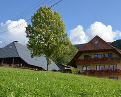 Wehrlebauernhof (Oberried)