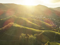Mit freundlicher Genehmigung der Tourist-Info Sasbachwalden &copy;peterbender