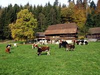 Gemeinde Stegen - Mit freundlicher Genehmigung vom Tourismus Dreisamtal e&period;V&period;