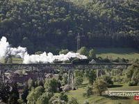 Bahnbetriebe Blumberg GmbH & Co&period; KG Sauschw&auml;nzlebahn