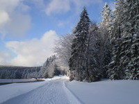 Winter in Wieden (Bildnachweis: Tourismus GmbH zwischen Feldberg und Belchen)