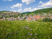 Stadtansicht Vöhrenbach (Bildnachweis: Tourist-Info Vöhrenbach ) Stadtansicht Vöhrenbach (Bildnachweis: Tourist-Info Vöhrenbach )