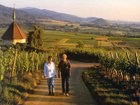 Reben-Wanderer (Bildnachweis: Mit freundlicher Genehmigung der Kur und Bäder GmbH Bad Krozingen) Reben-Wanderer (Bildnachweis: Mit freundlicher Genehmigung der Kur und Bäder GmbH Bad Krozingen)