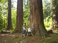 (Bildnachweis: Mit freundlicher Genehmigung der Stadtverwaltung Sulz a.N.) (Bildnachweis: Mit freundlicher Genehmigung der Stadtverwaltung Sulz a.N.)
