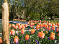 (Bildnachweis: Mit freundlicher Genehmigung der Stadt Lahr) (Bildnachweis: Mit freundlicher Genehmigung der Stadt Lahr)