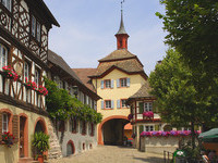(Bildnachweis: Touristik-Information Vogtsburg i.K. Fotograf: Hans-Peter Ziesmer)  (Bildnachweis: Touristik-Information Vogtsburg i.K. Fotograf: Hans-Peter Ziesmer)