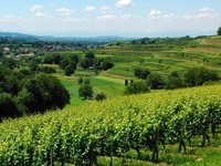 (Bildnachweis: Bildrechte Gemeinde Malterdingen) (Bildnachweis: Bildrechte Gemeinde Malterdingen)