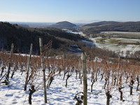 Blick vom Saalenberg Richtung Bollschweil (Bildnachweis: Gemeinde Sölden) Blick vom Saalenberg Richtung Bollschweil (Bildnachweis: Gemeinde Sölden)