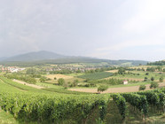 (Bildnachweis: Mit freundlicher Genehmigung der Stadt Müllheim) (Bildnachweis: Mit freundlicher Genehmigung der Stadt Müllheim)