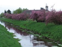 (Bildnachweis: Bürgermeisteramt Sinzheim)  (Bildnachweis: Bürgermeisteramt Sinzheim)