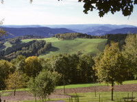 (Bildnachweis: Mit freundlicher Genehmigung der Tourist-Info Oberwolfach) (Bildnachweis: Mit freundlicher Genehmigung der Tourist-Info Oberwolfach)
