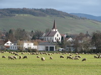 Schallstadt (Bildnachweis: Bürgermeisteramt Schallstadt) Schallstadt (Bildnachweis: Bürgermeisteramt Schallstadt)