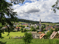 (Bildnachweis: Tourist-Information Schönwald) (Bildnachweis: Tourist-Information Schönwald)