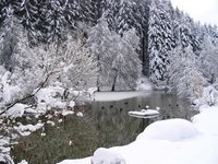 Mit freundlicher Genehmigung des Gastlichen Kinzigtal, Copyright Tourist Info Hofstetten (Bildnachweis: Mit freundlicher Genehmigung des Gastlichen Kinzigtal, Copyright Tourist Info Hofstetten) Mit freundlicher Genehmigung des Gastlichen Kinzigtal, Copyright Tourist Info Hofstetten (Bildnachweis: Mit freundlicher Genehmigung des Gastlichen Kinzigtal, Copyright Tourist Info Hofstetten)