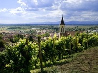 Auggen  (Bildnachweis: Mit freundlicher Genehmigung der Touristikinformation Auggen / Winzerkeller Auggener Schäf) Auggen  (Bildnachweis: Mit freundlicher Genehmigung der Touristikinformation Auggen / Winzerkeller Auggener Schäf)