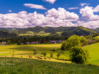 Kirchzarten im Frhling  (Bildnachweis: Foto: Klaus Hansen)