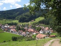 Mühlenbach (Bildnachweis: Mit freundlicher Genehmigung der Tourist Information Gastliches Kinzgital!)