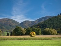 (Bildnachweis: Mit freundlicher Genehmigung der Ferienregion Münstertal Staufen)  (Bildnachweis: Mit freundlicher Genehmigung der Ferienregion Münstertal Staufen)