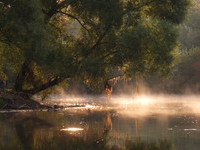 Mit freundlicher Genehmigung der Stadt Kappel-Grafenhausen (Bildnachweis: Mit freundlicher Genehmigung der Stadt Kappel-Grafenhausen) Mit freundlicher Genehmigung der Stadt Kappel-Grafenhausen (Bildnachweis: Mit freundlicher Genehmigung der Stadt Kappel-Grafenhausen)