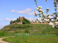 Schloss Kinzigtal (Bildnachweis: Mit freundlicher Genehmigung der Gemeinde Ortenberg)