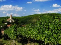  (Bildnachweis: Mit freundlicher Genehmigung der Touristikinformation Auggen / Winzerkeller Auggener Schf)