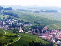 (Bildnachweis: Mit freundlicher Genehmigung der Touristikinformation Auggen / Winzerkeller Auggener Schäf) (Bildnachweis: Mit freundlicher Genehmigung der Touristikinformation Auggen / Winzerkeller Auggener Schäf)