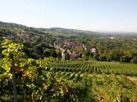 (Bildnachweis: Mit freundlicher Genehmigung der Bade- und Kurverwaltung Bad Bellingen) (Bildnachweis: Mit freundlicher Genehmigung der Bade- und Kurverwaltung Bad Bellingen)