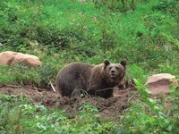 (Bildnachweis: Mit freundlicher Genehmigung von www.wolftal.de)  (Bildnachweis: Mit freundlicher Genehmigung von www.wolftal.de)