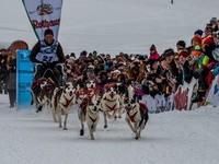 (Bildnachweis: Mit freundlicher Genehmigung Tourist Information Bernau) (Bildnachweis: Mit freundlicher Genehmigung Tourist Information Bernau)