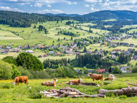 Bernau im Schwarzwald (Bildnachweis: Mit freundlicher Genehmigung Tourist Information Bernau)