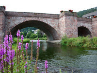 Stadtteil Hirsau von Calw im Schwarzwald (Bildnachweis: Mit freundlicher Genehmigung der Stadt Calw)