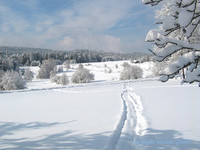 Mannenbachheide (Bildnachweis: isocont GmbH) Mannenbachheide (Bildnachweis: isocont GmbH)