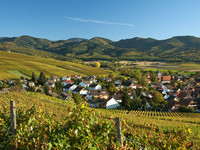 (Bildnachweis: Copyright und Fotograf: Th. Coch)  (Bildnachweis: Copyright und Fotograf: Th. Coch)