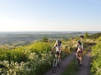 (Bildnachweis: Mit freundlicher Genehmigung der Gemeinde Friesenheim) (Bildnachweis: Mit freundlicher Genehmigung der Gemeinde Friesenheim)
