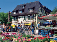 (Bildnachweis: Mit freundlicher Genehmigung der Stadt Haslach)  (Bildnachweis: Mit freundlicher Genehmigung der Stadt Haslach)