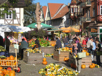 (Bildnachweis: Mit freundlicher Genehmigung der Stadt Haslach)  (Bildnachweis: Mit freundlicher Genehmigung der Stadt Haslach)