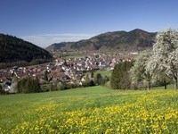 © ZweiTälerLand Tourismus, Gutach-Bleibach Fotograf Clemens Emmler (Bildnachweis: © ZweiTälerLand Tourismus, Gutach-Bleibach Fotograf Clemens Emmler) © ZweiTälerLand Tourismus, Gutach-Bleibach Fotograf Clemens Emmler (Bildnachweis: © ZweiTälerLand Tourismus, Gutach-Bleibach Fotograf Clemens Emmler)