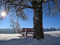 (Bildnachweis: Mit freundlicher Genehmigung der Stadt Lossburg)  (Bildnachweis: Mit freundlicher Genehmigung der Stadt Lossburg)
