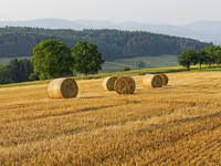 (Bildnachweis: Schulte Kellinghaus)  (Bildnachweis: Schulte Kellinghaus)